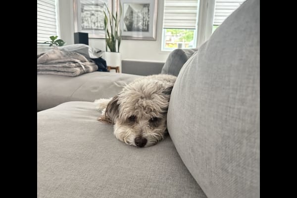 North Druid Hills, Georgia, United States