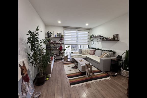 Mexico City, Mexico City, Mexico