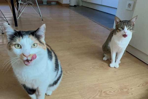 Barcelona, Catalonia, Spain