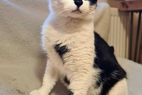 Abergavenny, Wales, United Kingdom