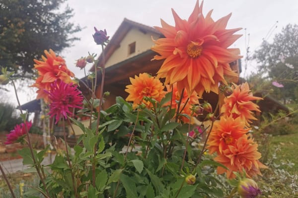 Zagreb, Grad Zagreb, Croatia