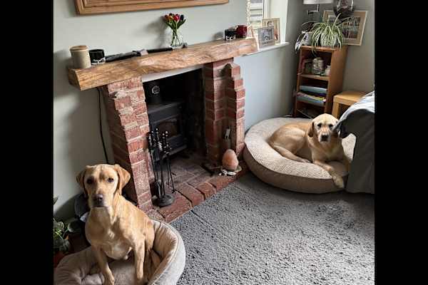 Wrexham, Wales, United Kingdom