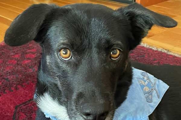 Providence, Rhode Island, United States