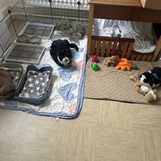 Larne, Northern Ireland, UK