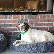 Wilmot, Tasmania, Australia