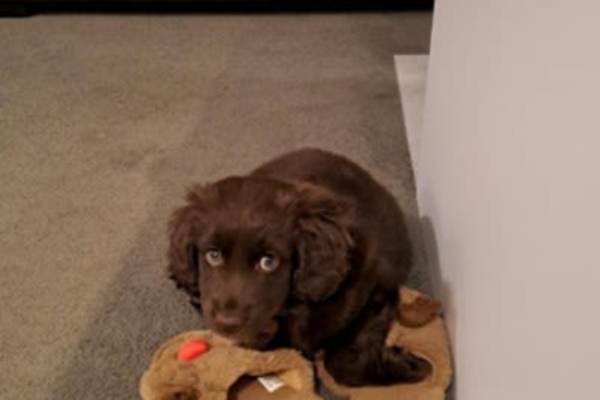 Auckland, Auckland, New Zealand