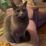 Orford, Tasmania, Australia