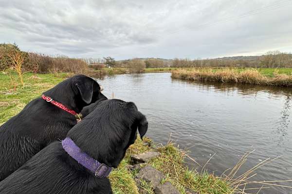 Lampeter, Wales, United Kingdom
