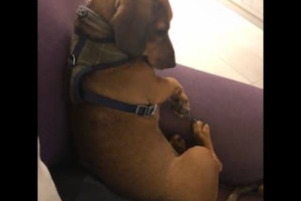 la Massana, La Massana, Andorra