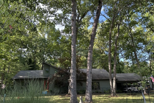 Charlottesville, Virginia, United States