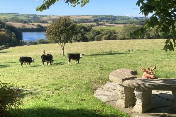 Kinsale, Munster, Ireland