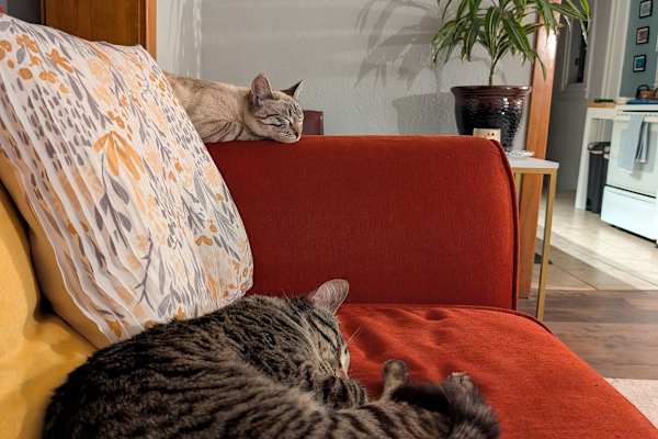 Salt Lake City, Utah, United States