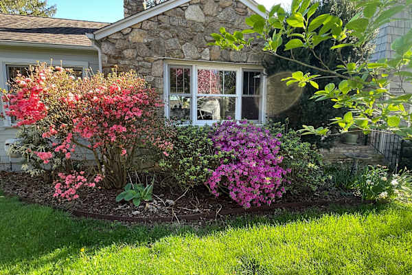 Asheville, North Carolina, United States