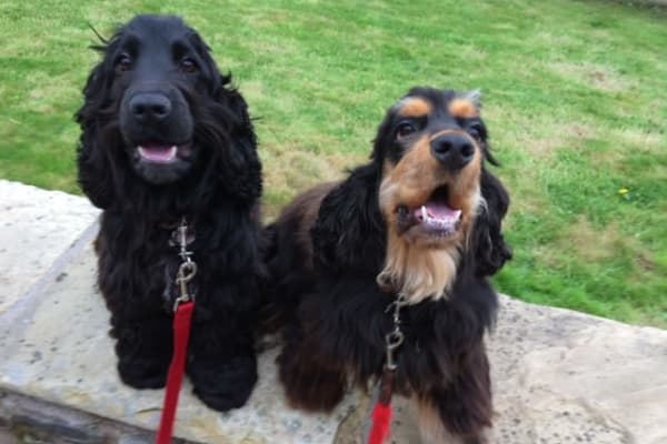 Cork, Munster, Ireland