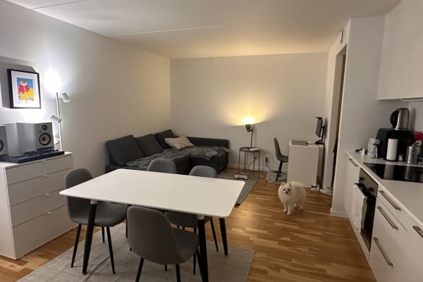 Copenhagen, Capital Region, Denmark