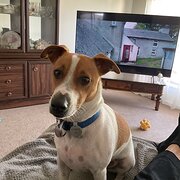 Victor Harbour, South Australia, Australia