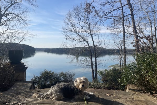 Seneca, South Carolina, United States