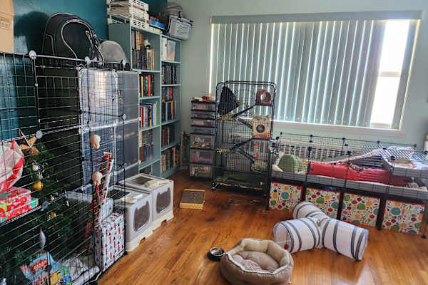 Borough of Queens, New York, United States