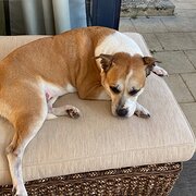 Yanchep, Western Australia, Australia