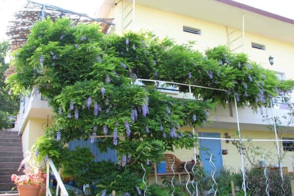 Nice, Provence-Alpes-Cote d'Azur, France