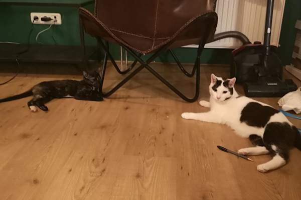 Vianen, Utrecht, Netherlands