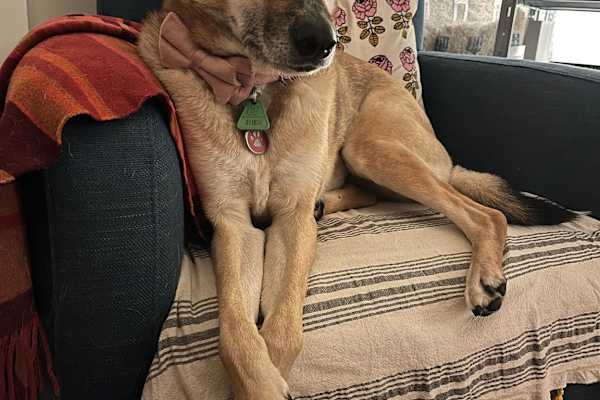 Genève, Geneva, Switzerland