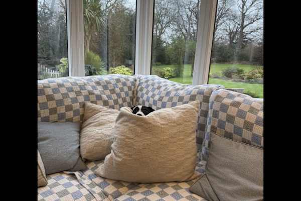 Musselburgh, Scotland, United Kingdom