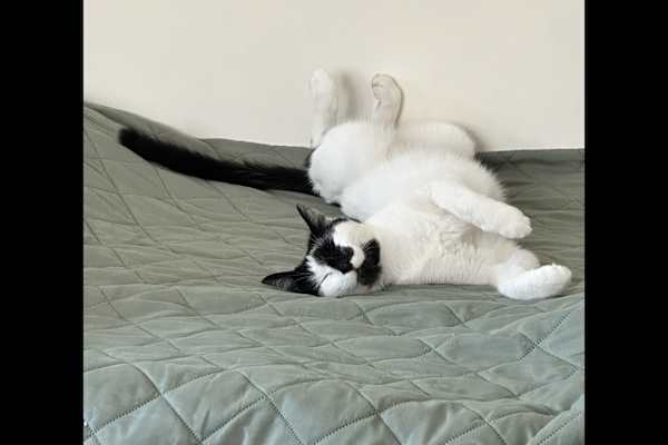 Chieti, Abruzzo, Italy