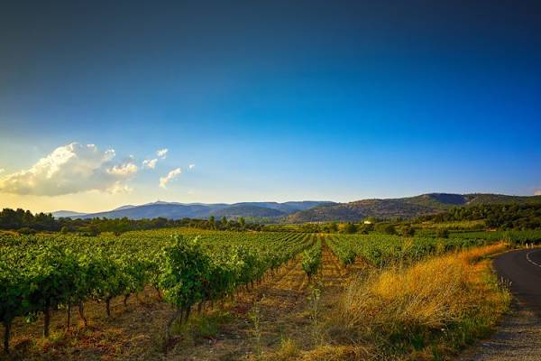 Carcassonne, Occitania, France