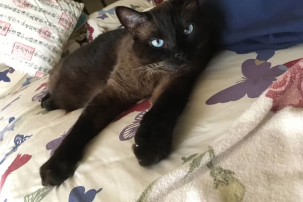 New Orleans, Louisiana, United States