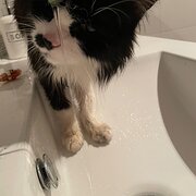 Swan View, Western Australia, Australia