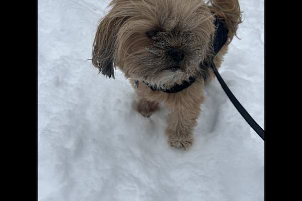 Chicago, Illinois, United States