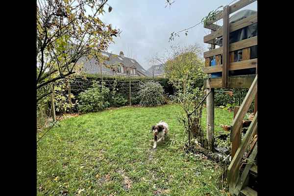 Brussels, Brussels Capital, Belgium