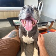 New Farm, Queensland, Australia