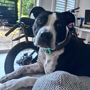 Woolooware, New South Wales, Australia