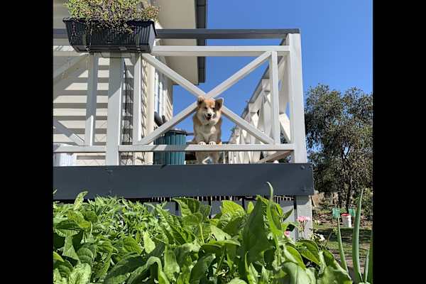 Beaudesert, Queensland, Australia