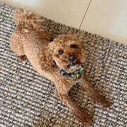 Palm Beach, Queensland, Australia