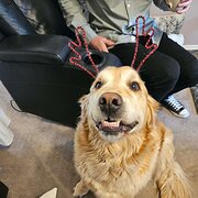 Salisbury Heights, South Australia, Australia