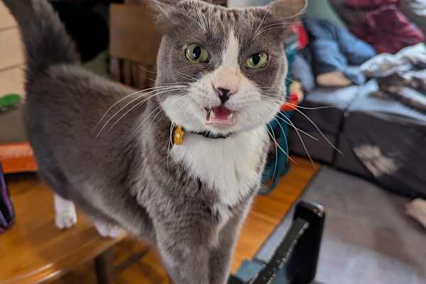 Vancouver, British Columbia, Canada