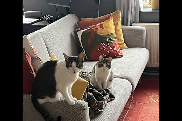 Amsterdam, North Holland, Netherlands