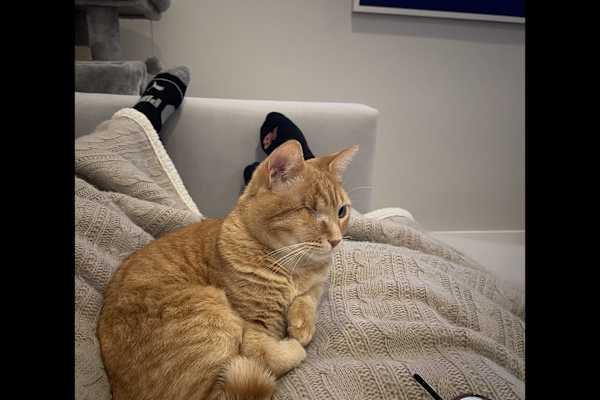 White Plains, New York, United States