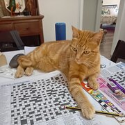 Harvey, Western Australia, Australia