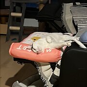 Alphington, Victoria, Australia