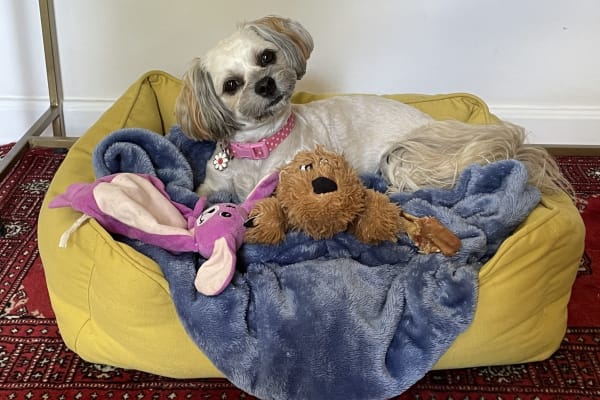 Adelaide, South Australia, Australia