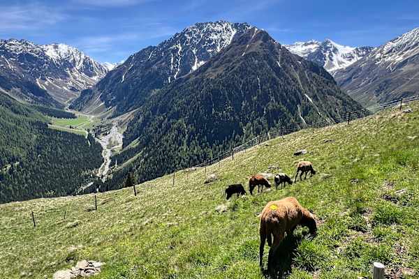 Sankt Sigmund im Sellrain, Tyrol, Austria