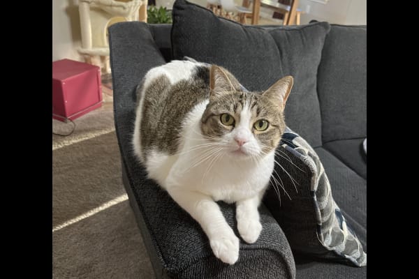 Round Rock, Texas, United States