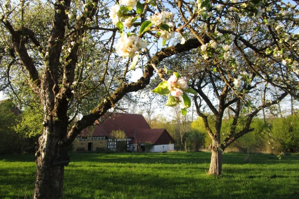 Zapfendorf, Bavaria, Germany