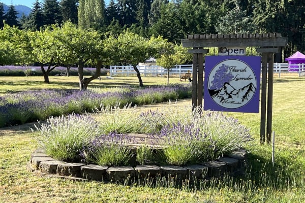 Sequim, Washington, United States