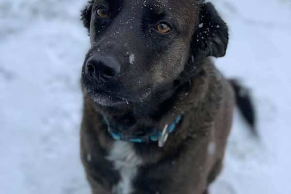 Duncan, British Columbia, Canada