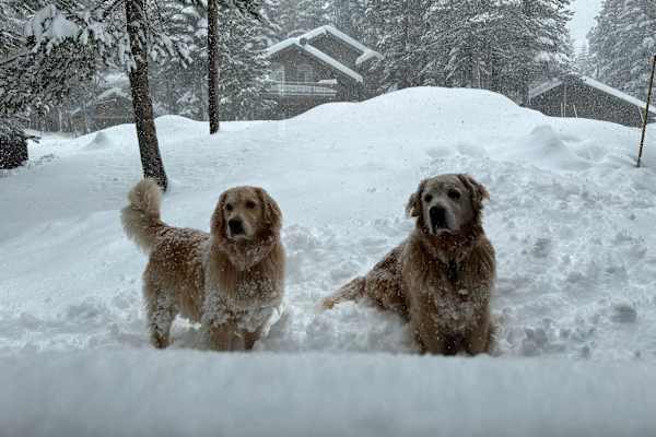 Truckee, California, United States